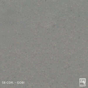 Superbase Cortica Gobi